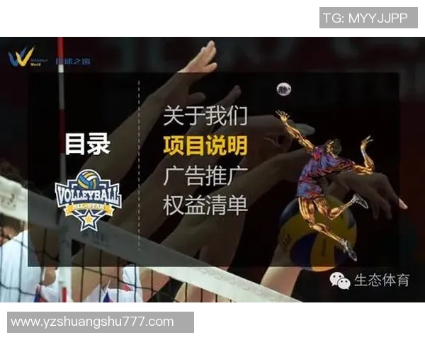 深圳排球队运营模式解析与发展趋势探讨